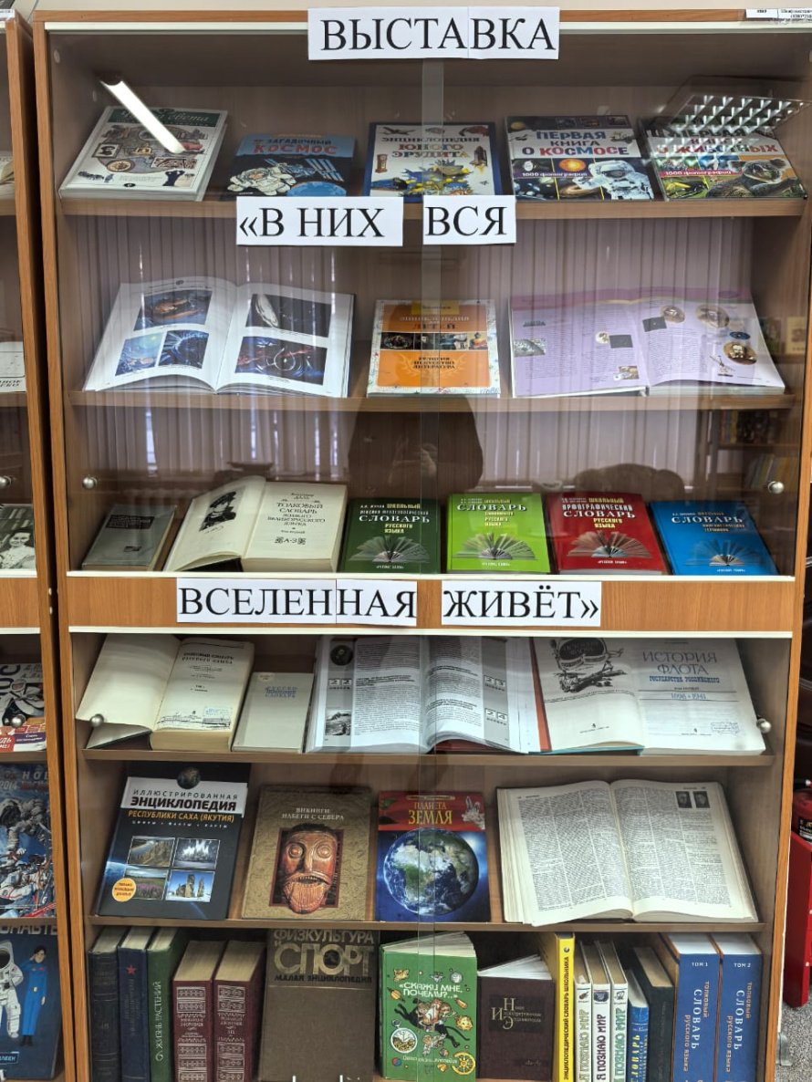 Книжная выставка, посвящённая Дню словарей и энциклопедий